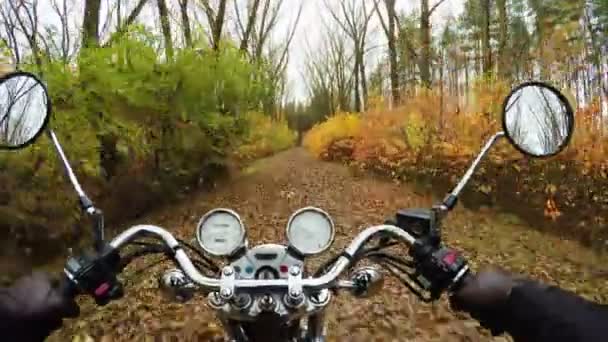 4K. Fantástico passeio de moto na estrada na floresta de outono laranja, amplo ponto de vista do piloto. Cruzador / helicóptero clássico para sempre ! — Vídeo de Stock
