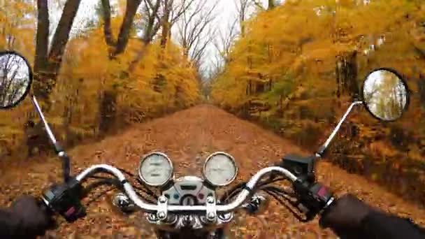 4 k. fantastische motorfiets rit op de weg in oranje herfst bos, brede oogpunt van rider. Klassieke kruiser/chopper voor eeuwig! — Stockvideo