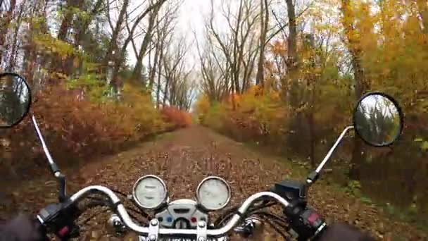 4K. Fantastique balade à moto sur la route dans la forêt d'automne orange, large point de vue du cavalier. Croiseur / hélico classique pour toujours ! — Video