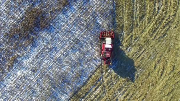 4K. Combine Harvester travaille dans le champ de maïs après la première neige ! La moissonneuse coupe du maïs sec mûr. Vue aérienne du dessus .