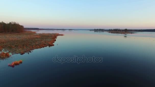 4K. Low flight and takeoff over wild lake with ducks in winter on sunset, aerial view. — Stock Video