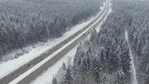 Vägen Skogen Vintern Med Att Köra Bilar Snöfall Panoramautsikt Över — Stockvideo