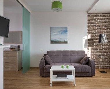 İskandinav tarzı modern daire iç