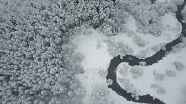 4 k. uçuş bulutlar ve donmuş ormanda vahşi sarma Nehri üzerinde. SnowLy kış kuzeyde. Havadan panoramik görünümü. 