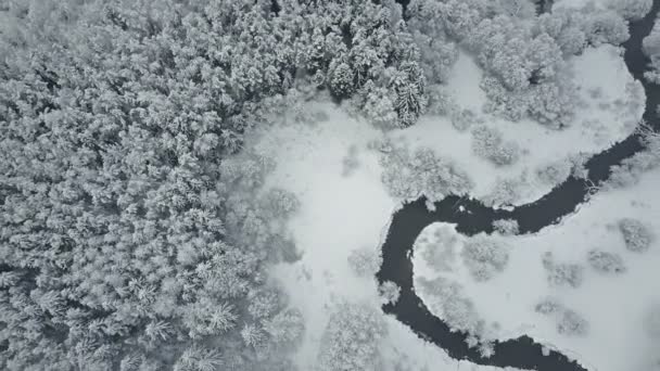 Voo Acima Nuvens Rio Sinuoso Selvagem Floresta Congelada Inverno Nevado — Vídeo de Stock