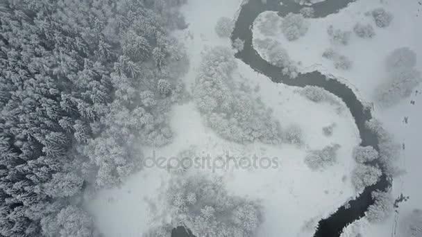 在冰冻森林中的云层和野生蜿蜒的河流上飞行 北方的冬天 Snowly 空中全景图 — 图库视频影像