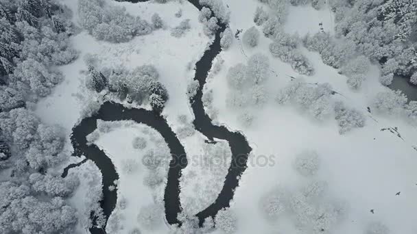 Flight Wild Winding River Frozen Forest Foggy Weather Aerial Panoramic — Stock Video