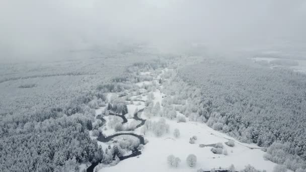 霧深い天候で冷凍の森で野生の曲がりくねった川上和便 Snowly パノラマ空撮 — ストック動画