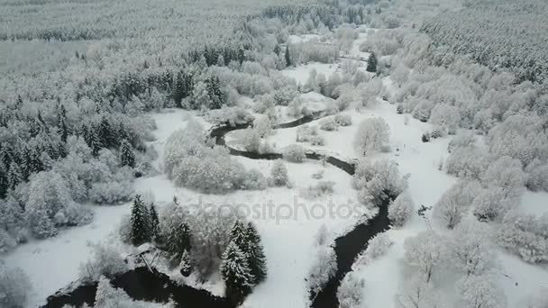 Low Flight Winding River Frozen Forest Aerial Panoramic View Beautiful — Stock Video