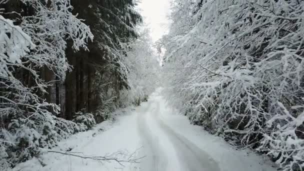Bajo Vuelo Sobre Carretera Rural Bosque Invernal Congelado Entre Ramas — Vídeos de Stock