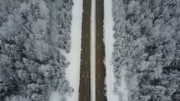 4K. Vol au-dessus de la route dans la forêt gelée d'hiver avec des voitures de conduite. Vue aérienne du dessus .