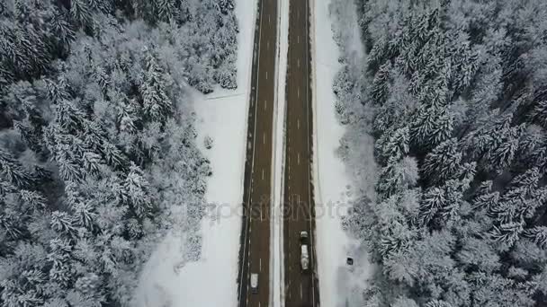 Vuelo Sobre Carretera Bosque Invierno Congelado Con Coches Conducción Vista — Vídeo de stock