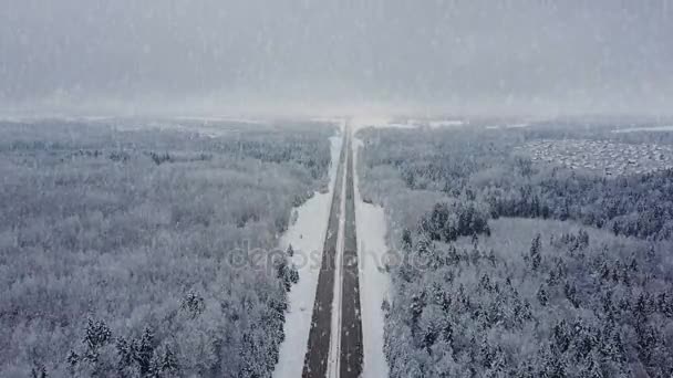 Camino Bosque Invierno Con Coches Conducción Las Nevadas Vista Panorámica — Vídeo de stock