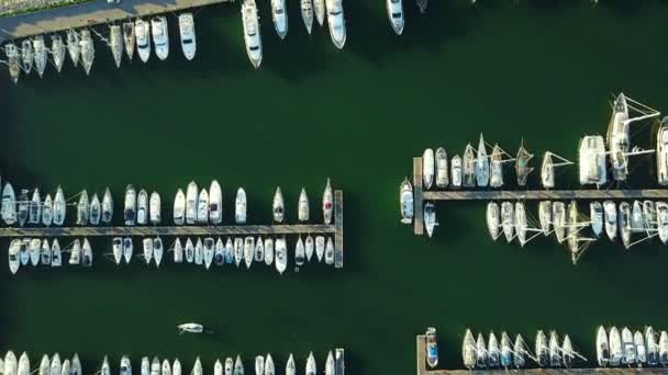 Kompilationsvideo Flug Über Den Yachthafen Mit Festgemachten Yachten Schiffen Und — Stockvideo