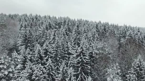 Vídeo Compilação Voo Acima Floresta Inverno Congelada Norte Vista Aérea — Vídeo de Stock