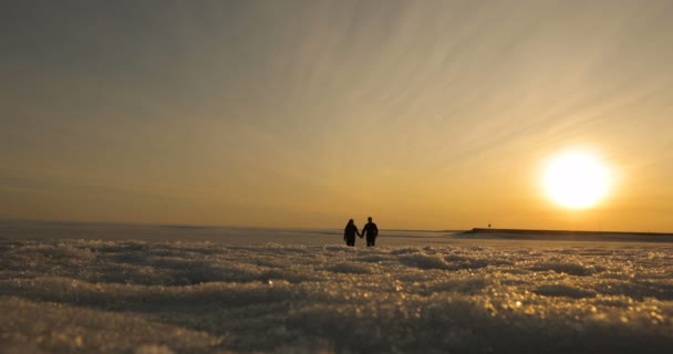 Romántica pareja joven cogida de la mano y caminando por la playa mientras el sol comienza a ponerse . — Vídeo de stock