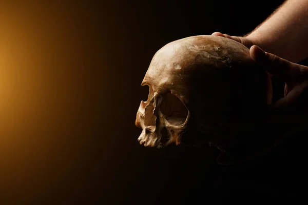 Human skull on a black background. flare effect — Stock Photo, Image