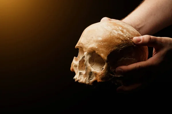 Human skull on a black background. flare effect — Stock Photo, Image