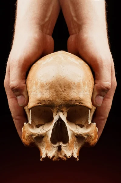 Crânio humano sobre fundo negro. efeito de exacerbação — Fotografia de Stock
