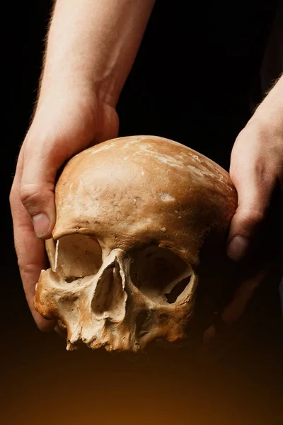 Human skull on a black background. flare effect — Stock Photo, Image