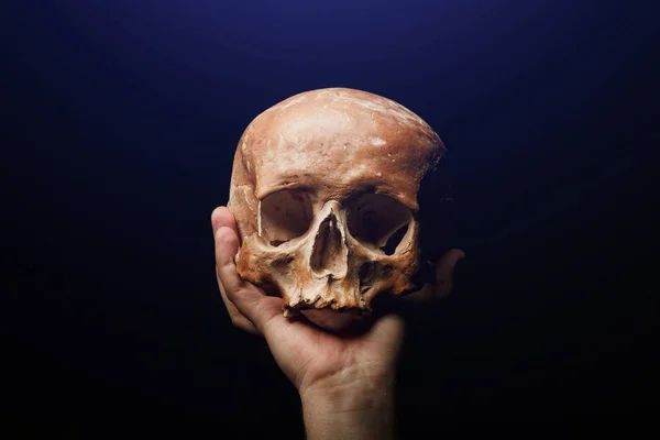 Human skull on a black background. flare effect — Stock Photo, Image
