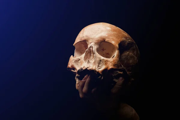 Human skull on a black background. flare effect — Stock Photo, Image
