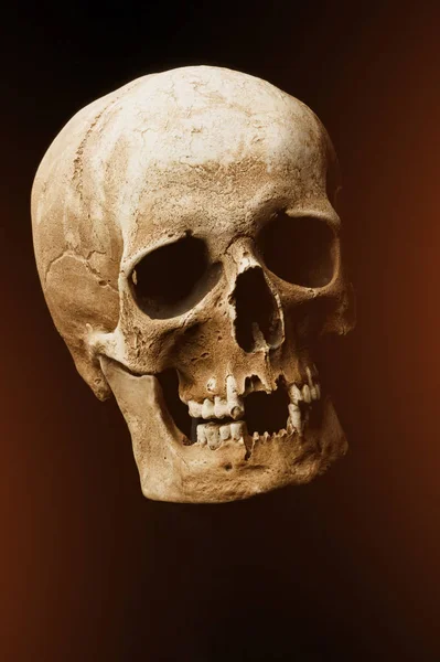 Human skull on a black background. flare effect — Stock Photo, Image