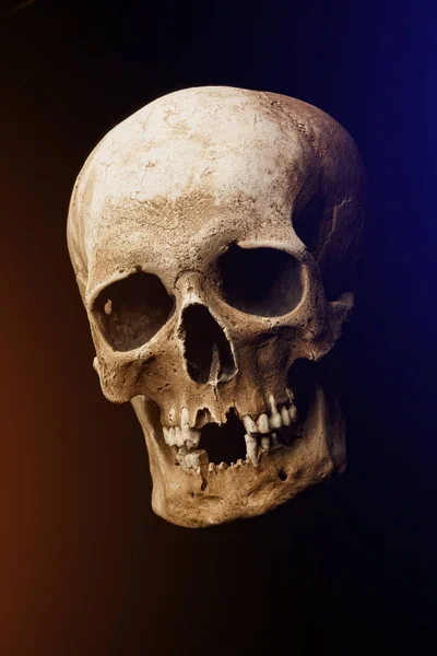 Human skull on a black background. flare effect — Stock Photo, Image