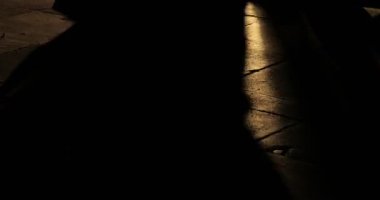 insanlar gece parkta yürürken, insanlar. gölge siluet. ürkütücü gece sahne arka plan