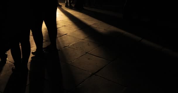 Mensen wandelen 's nachts in het park. schaduw silhouet. Spooky nacht landschap-achtergrond — Stockvideo
