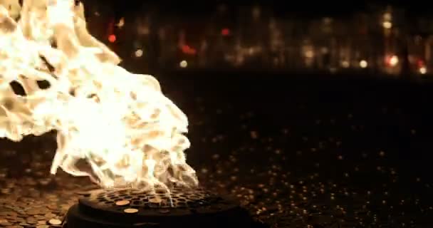 Eld flamma nära upp loopable - lager Video. Loopable flamma. Gas fire burns — Stockvideo