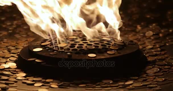 Fiamma di fuoco richiudibile - Stock Video. Fiamma richiudibile. Brucia fuoco a gas — Video Stock