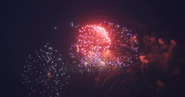 Красочный фейерверк в праздничную ночь 4k — стоковое видео