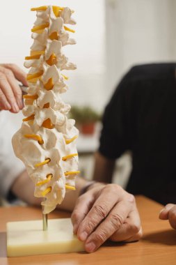 doctor explain spine model in his office at the hospital clipart