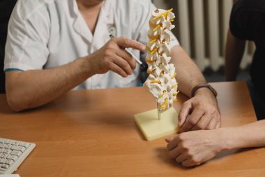 a spine model in doctor heands. Doctor speaking with patient clipart