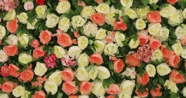 バラとシャクヤクがたくさん立つ鍋バケット、バラの大きな花束と牡丹、美しい花フィールド黄色緑白ピンク紫と赤で — ストック動画