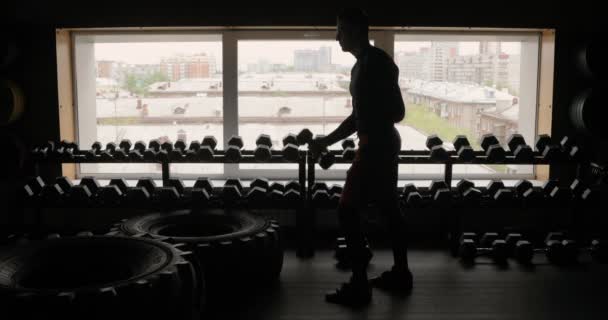 Силуэт спортсмена, тренирующегося с гантелями на черном фоне спортзала, человека с гантелями. Фитнес . — стоковое видео