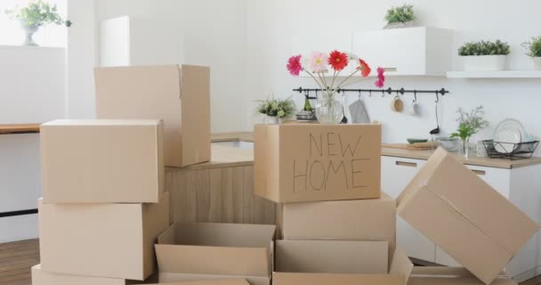 Famille déménageant dans une nouvelle maison. Passage à un nouveau concept de maison — Video