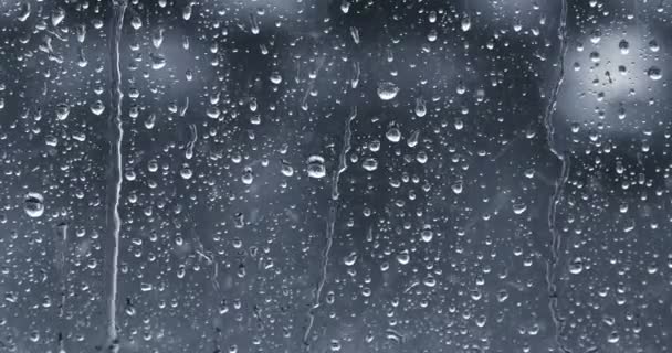 Regentropfen rinnen eine Fensterscheibe hinunter. Blauton. — Stockvideo
