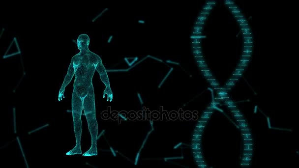 Ludzkie Avatar na wirtualne 3d holograficzny projekcja z futurystyczny niebieski Dna. Mężczyzna x-ray skanowania — Wideo stockowe