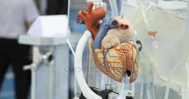 Artificial circulation of blood, mans artificial heart, model of the heart. Donor heart — Stock Video