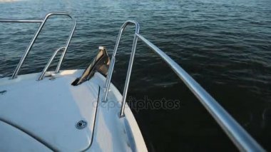 Yat ve tekne burun görünümden. 4 k okyanus seyir yat