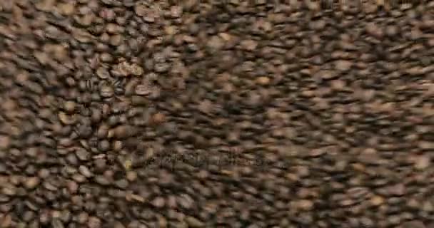 Kaffeebohnen rösten, gemischt auf Kühlplattform in einer Manufaktur-Werkstatt, Nahaufnahme — Stockvideo