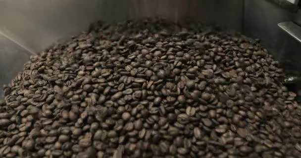 Asar granos de café remolino mezclado en la plataforma de la unidad de enfriamiento en un taller de fabricación — Vídeos de Stock
