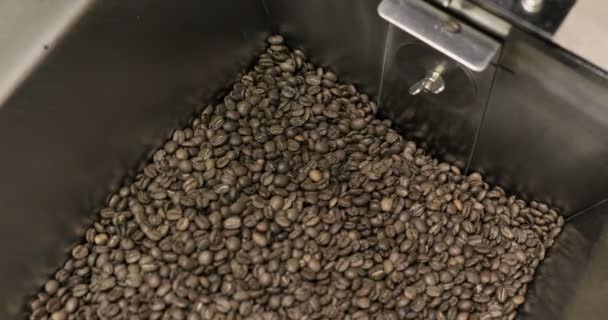Rösten von Kaffeebohnen wirbelt gemischt auf Kühlplattform in einer Manufaktur-Werkstatt — Stockvideo