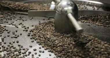 Döne döne kahvenin kavurma ünitesi Platform bir fabrikada atölyede soğutma karışık