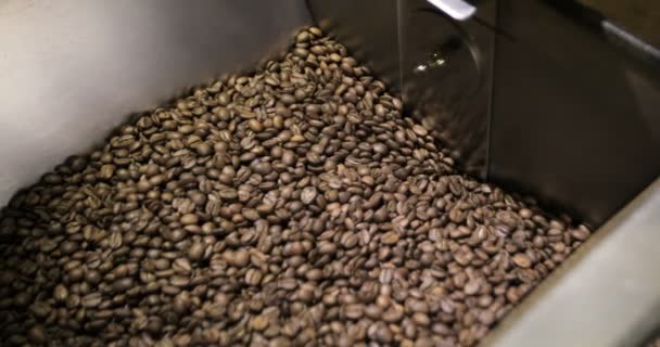 Kaffebönor faller in i A Manufactory Workshop — Stockvideo