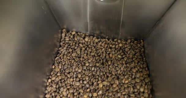 Coffee Beans is falling out In A Manufactory Workshop — Stock Video