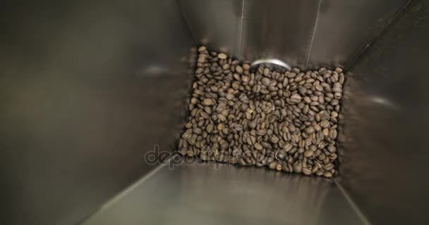Кофе-бобы выпадают в мануфактуре — стоковое видео
