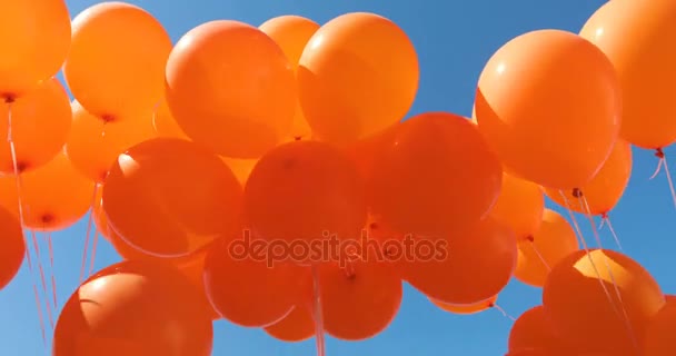 Globos sobre un fondo de cielo azul. muchos globos en el cielo — Vídeos de Stock